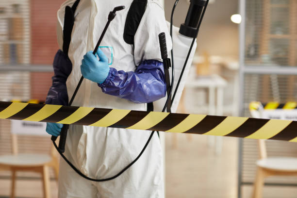 Professional Sewage Cleanup technician working in Audubon, NJ